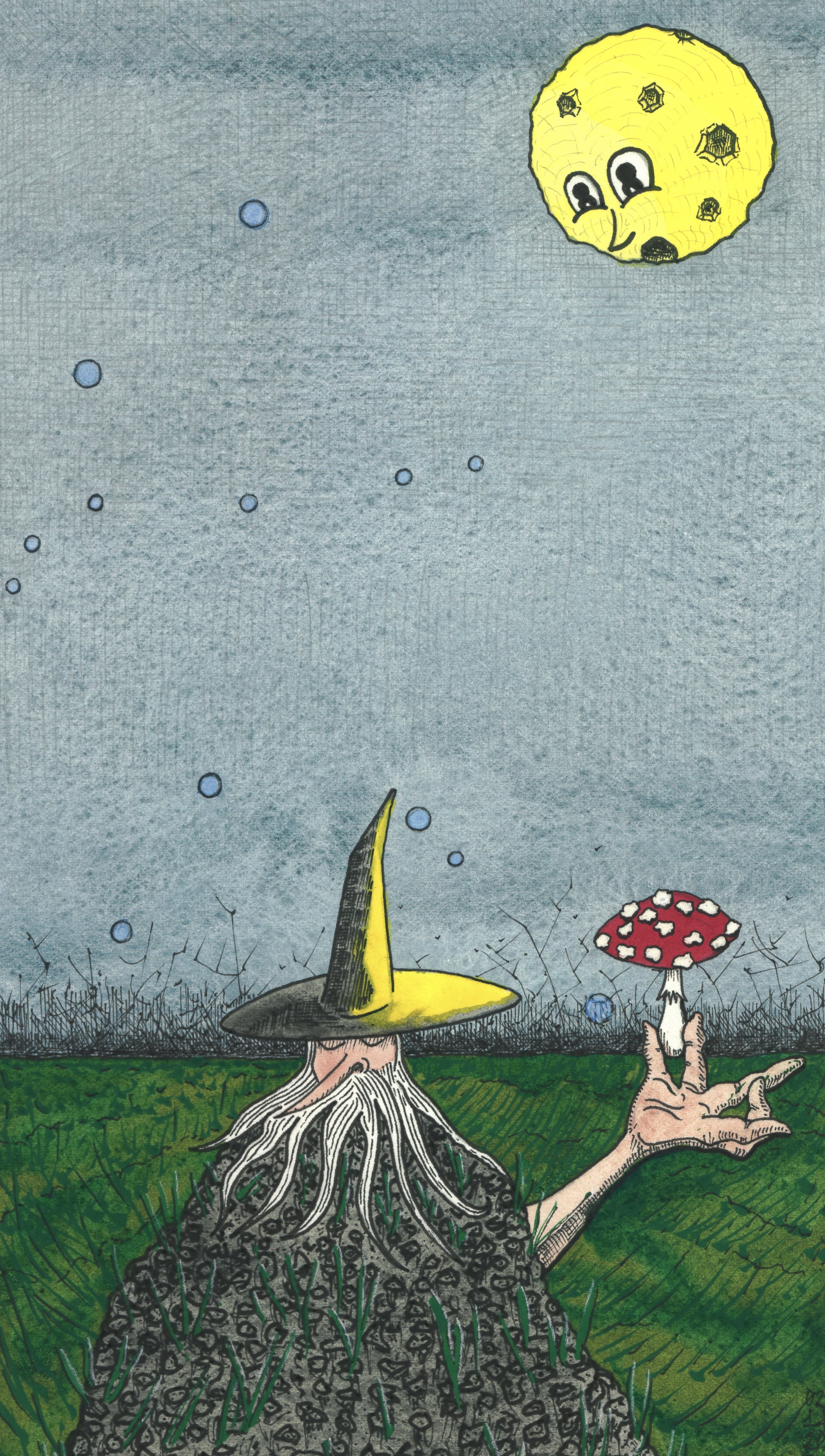 Wizard, Talkeetnah, Alaska, AK, ink, watercolor, works on paper